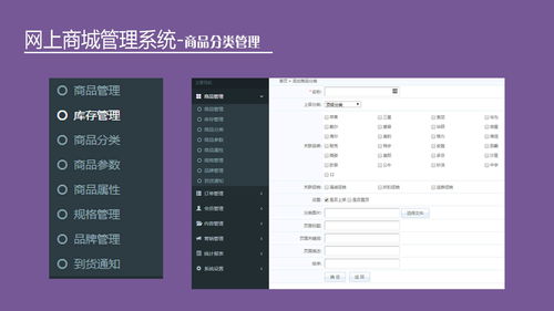 中小企業(yè)如何快速布局電子商務(wù)系統(tǒng)軟件開發(fā)